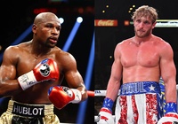 Floyd Mayweather Jr tiết lộ nơi thượng đài cũng Logan Paul, “mời gọi” cả Jake Paul và 50 Cent