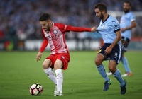 Link xem trực tiếp Melbourne City vs Macarthur, bóng đá Úc hôm nay 12/3