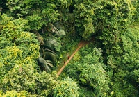 Chạy trên cung đường tuyệt đẹp của giải siêu địa hình Ba Bể Jungle Marathon