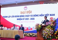 Liên đoàn Bóng chày và Bóng mềm Việt Nam chính thức ra mắt