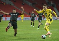Video Highlight Dortmund vs Leverkusen, bóng đá Đức hôm nay 22/5