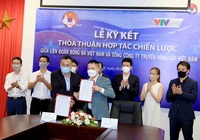 VTVCab “bắt tay” VFF, NHM bóng đá Việt Nam được lợi gì?