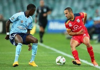 Kết quả Adelaide United vs Sydney, video bóng đá Úc hôm nay 29/5