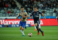 Link xem trực tiếp Melbourne City vs Newcastle Jets, bóng đá Úc hôm nay 10/6