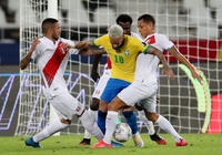 Lịch trực tiếp Bóng đá TV hôm nay 5/7: Brazil vs Peru