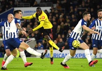 Trực tiếp bóng đá Brighton vs Watford trên kênh nào?