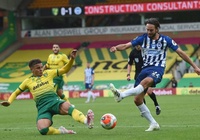 Nhận định bóng đá Norwich vs Brighton, Ngoại hạng Anh