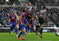 Nhận định Crystal Palace vs Newcastle: Đổi chủ không đổi vận