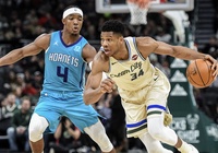 Nhận định bóng rổ NBA 2021-22: Charlotte Hornets vs Milwaukee Bucks (ngày 2/12 8h00)