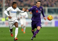 Nhận định Fiorentina vs Udinese: Nỗi ám ảnh Artemio Franchi 