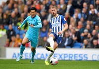 Nhận định Tottenham vs Brighton: Lấy lại tinh thần