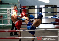 "Chạy marathon" và chuyện thử lửa cho võ sỹ trẻ ở giải Cúp Kickboxing QG 2022