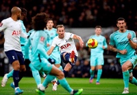 Nhận định Brighton vs Tottenham: Áp lực bủa vây