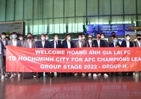 Cách mua vé sân Thống Nhất xem HAGL đá AFC Champions League 2022