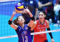 Trực tiếp bóng chuyền hôm nay 29/6: Nữ Thái Lan vs Nữ Hàn Quốc