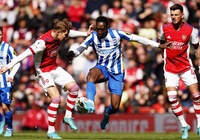 Dự đoán kết quả Arsenal vs Brighton: Bắn hạ Mòng biển