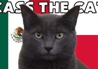 Mèo tiên tri dự đoán Ba Lan vs Mexico, 23h ngày 22/11