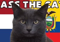 Mèo tiên tri dự đoán Hà Lan vs Ecuador