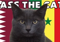 Mèo tiên tri dự đoán Qatar vs Senegal, 20h ngày 25/11