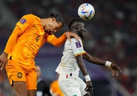 Soi kèo Hà Lan vs Ecuador: Hạ tín nhiệm cửa trên