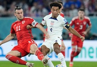 Soi kèo Wales vs Iran: Cửa dưới thua toàn diện
