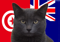 Mèo tiên tri dự đoán Tunisia vs Australia