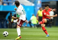 Mèo tiên tri dự đoán kết quả bóng đá Hàn Quốc vs Ghana