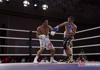 Từ Fortunes of War đến khát khao và tham vọng chinh phục của boxing chuyên nghiệp Việt Nam