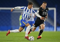 Nhận định, soi kèo Charlton vs Brighton: Chim mòng biển bay cao