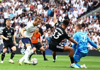 Tỷ lệ kèo trận Fulham vs Tottenham, Ngoại hạng Anh, 3h ngày 24/1