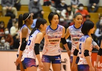 Trực tiếp Thanh Thúy thi đấu bóng chuyền Nhật Bản ngày 28/1: PFU BlueCats vs Victorina Himeji