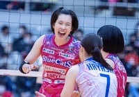 Trực tiếp Thanh Thúy thi đấu bóng chuyền Nhật Bản ngày 4/2: PFU BlueCats vs JT Marvelous
