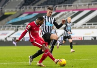 Tỷ lệ kèo trận Newcastle vs Liverpool, Ngoại hạng Anh, 0h30 ngày 19/2