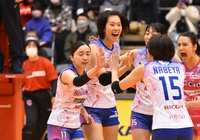 Trực tiếp Thanh Thúy thi đấu bóng chuyền Nhật Bản ngày 4/3: PFU BlueCats vs Hisamitsu