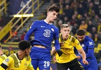 Tỷ lệ kèo trận Chelsea vs Dortmund, Champions League, 3h ngày 8/3