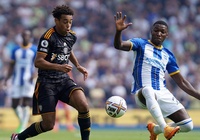 Nhận định Leeds vs Brighton: Khó khăn kéo dài