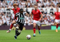Nhận định Nottingham vs Newcastle: Điểm tựa City Ground