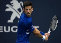 Bảng xếp hạng tennis ATP mới nhất: Djokovic đòi lại vị trí số 1 từ Alcaraz