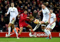 Nhận định Leeds vs Liverpool: Qua cơn bĩ cực
