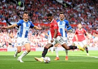 Nhận định Brighton vs MU: Hạ sát Quỷ đỏ