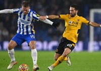 Tỷ lệ kèo trận Brighton vs Wolves, Ngoại hạng Anh, 21h ngày 29/4