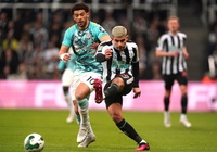 Tỷ lệ kèo trận Newcastle vs Southampton, Ngoại hạng Anh, 20h ngày 30/4