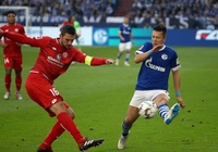 Nhận định Mainz vs Schalke: Hoàng đế xanh có điểm