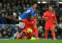 Nhận định Brighton vs Everton: Gieo sầu cho đội khách