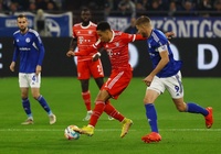 Nhận định Bayern Munich vs Schalke: Đối thủ ưa thích