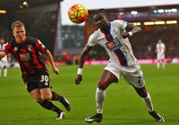 Tỷ lệ kèo trận Crystal Palace vs Bournemouth, Ngoại hạng Anh, 21h ngày 13/5