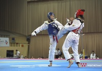 Giải Vô địch Taekwondo các lứa tuổi trẻ Quốc gia CJ 2023 đón số vận động viên kỷ lục