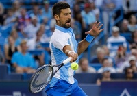Djokovic tái đấu Alcaraz ở chung kết Cincinnati Open 2023