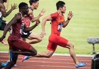 Trung Quốc cử 36 nhà vô địch Olympic tranh tài ở ASIAD 19, thiếu vắng "Phó giáo sư chạy nhanh hơn Usain Bolt"