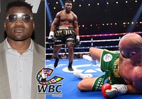 Francis Ngannou chính thức "nảy số" trên BXH của WBC chỉ sau 1 trận so găng với Tyson Fury